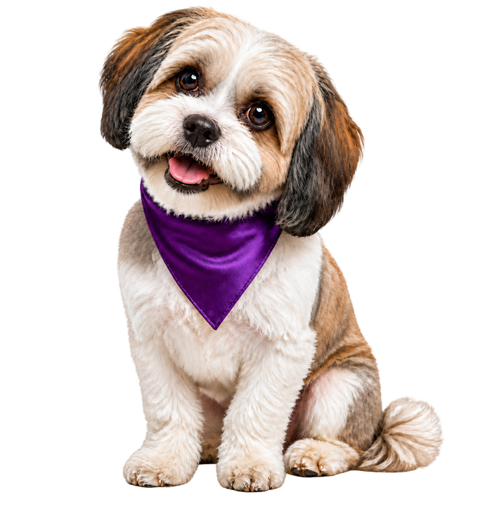 Liza, Budget Express Studio’s mascot, smiling